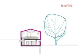 STUDIE - řez příčný